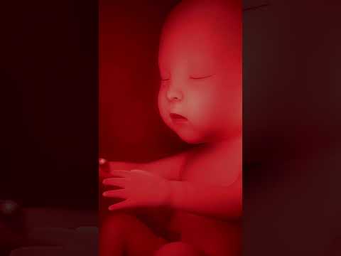 Tác hại khi mẹ bầu nghiện điện thoại.