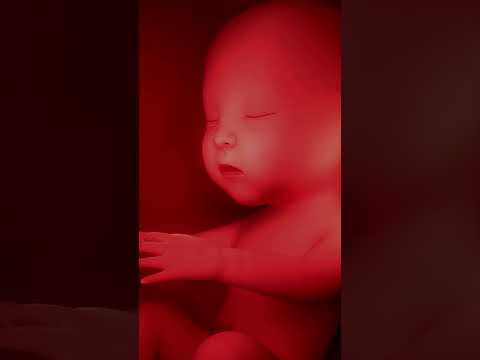 Cảm giác của bé khi được mẹ âu yếm xoa bụng mỗi ngày.