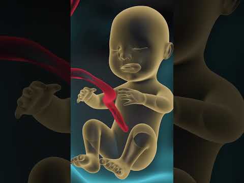 Biến chứng nguy hiểm nhất của tiểu đường thai kỳ: Mất tim thai.