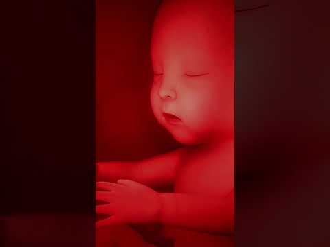 Vì sao thai nhi 3 tháng cuối ngủ nhiều hơn mẹ tưởng?